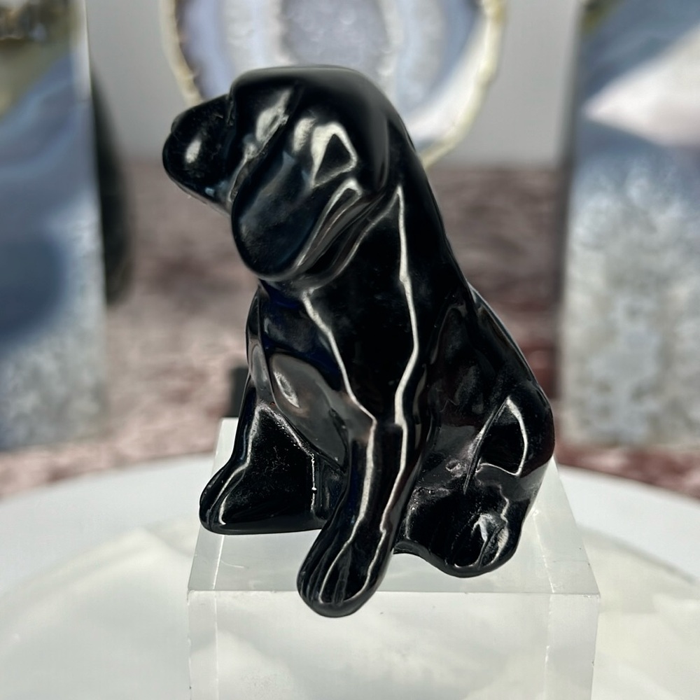 Obsidian Dog - OD01 - Picture 3 of 5